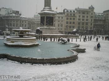 238u.jpg
My beautiful picture
199,77 KB 
01/04/2010