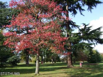 2997136731_b5765a8170_b.jpg

763,21 KB 
01/04/2010