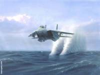 f_14_tomcat_image_02.jpg
