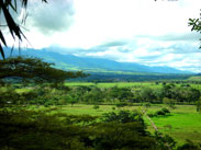 Fincas en Villavicencio (villavo) para alquiler o arriendo